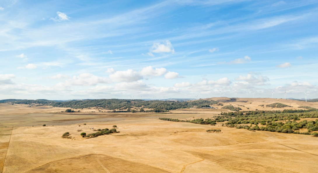 How to Find Affordable Land for Sale in the USA