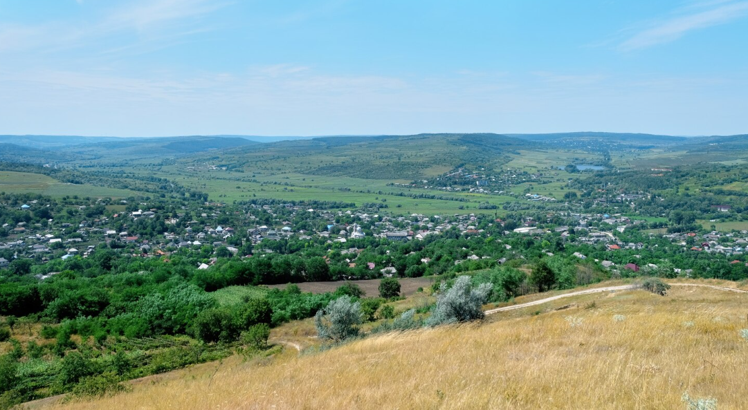 How to Prepare Your Vacant Land Before Listing It for Sale
