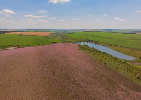 What Does It Mean When Land Is Listed as "Unrestricted"?