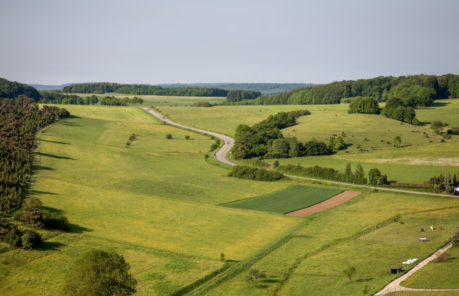 What Does “No Road Access” Mean When Buying Land?