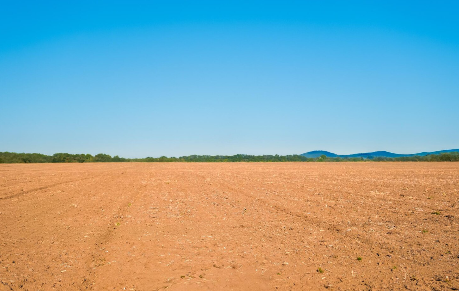 What is the Best State to Buy Land in the USA in 2026?