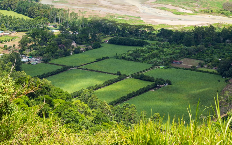 What Makes Vacant Land Attractive to Buyers in 2026?