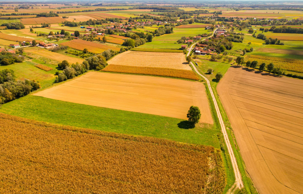 Why More Landowners Are Using Digital Marketplaces to Sell Land