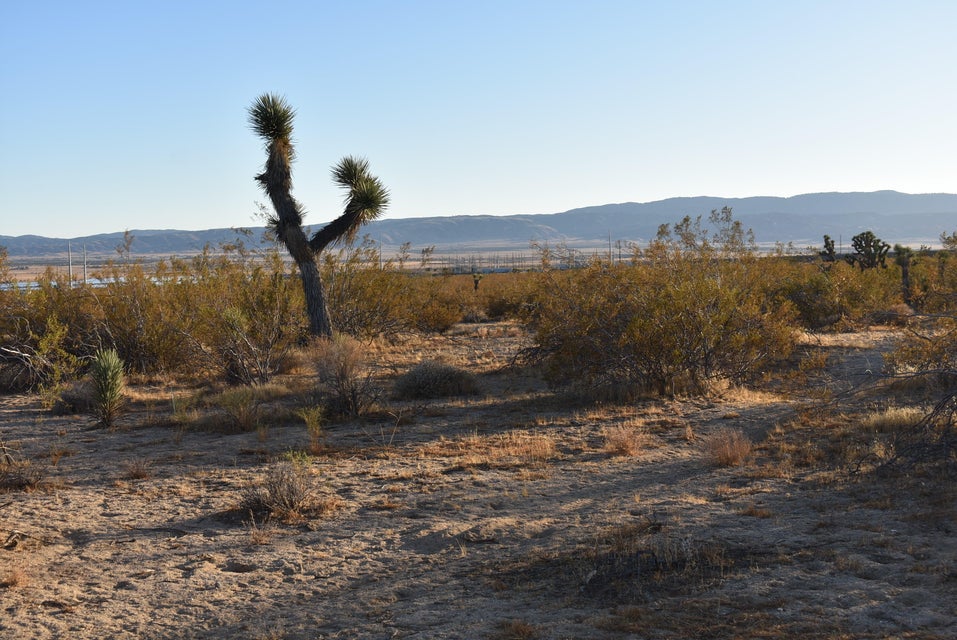 Property in Rosamond