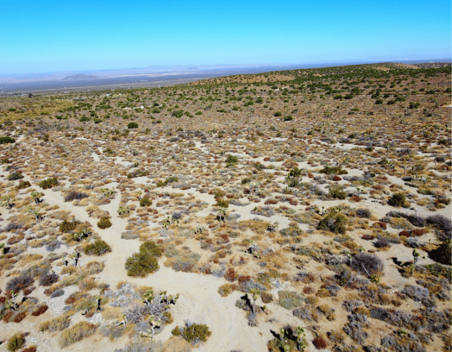 Property in Llano