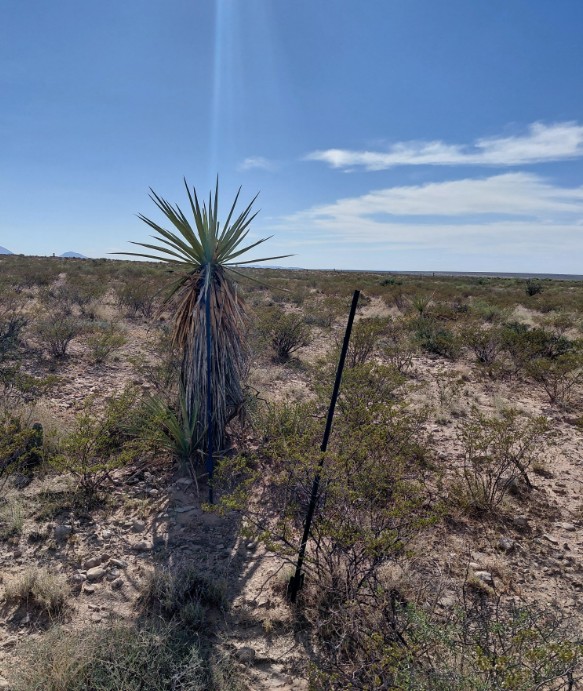 Property in Sierra Blanca