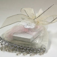 Organza bag with  chocolates inside