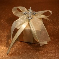 Gold Box with Multicolor Stoned Cross Pin 