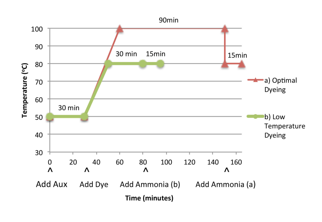 Figure 2. Wool Dyeing Schematic