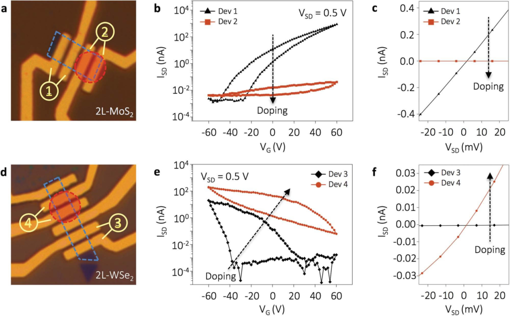 a, d) Bi-layer MoS2 and WSe2 FET devices. Flakes are outlined by blue dashed boxes and laser-irradiated areas are denoted by red dashed circles. b,e) Source–drain current versus back gate voltage curves recorded from the devices in panels (a) and (d) with 500 mV bias voltage c,f) Source–drain current versus source–drain voltage curves recorded from the doped (Dev 2, 4) and undoped (Dev 1, 3) devices.