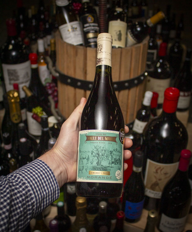 2020 Morande Cinsault Pais Valle del Maule Valley