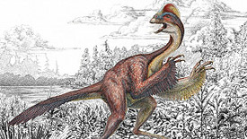 Los investigadores dicen que el Anzu wyliei parecía una cruce entre un avestruz y un lagarto.