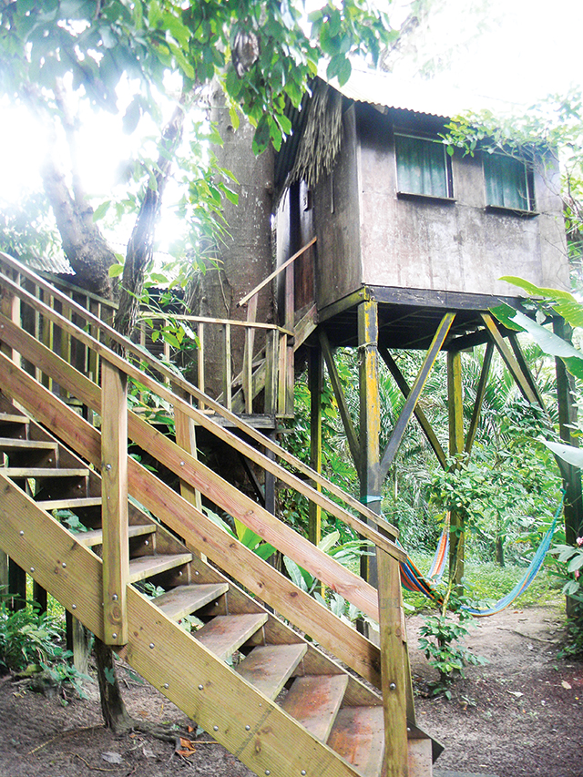 Treehouses at Parrot Nest Lodge allow guests to experience the jungle in a whole new way. Photo by Krissy Bradbury.