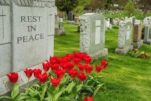 Rest in peace on graveyard headstone with red tulips in foreground