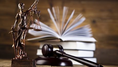 The role of precedent in the common law system 460x260 c