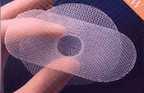 Mesh 202