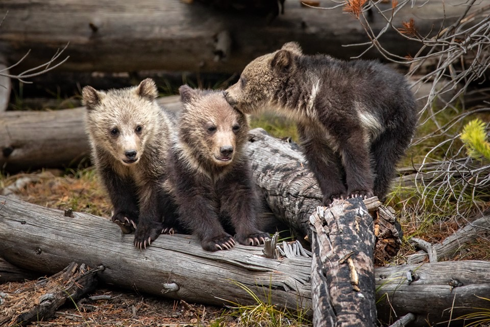 Wyoming Unclaimed PropertyHow to Make Sure ALL of Your Accounts and Property Transfer as You