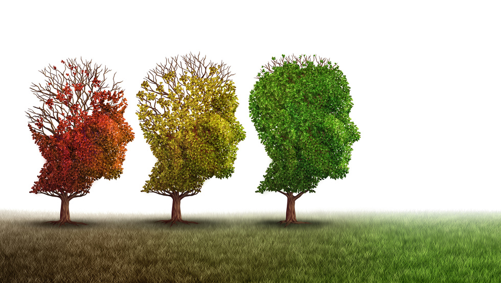 alzheimers 20trees