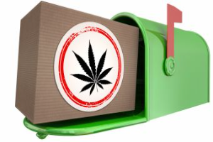 online weed dispensary
