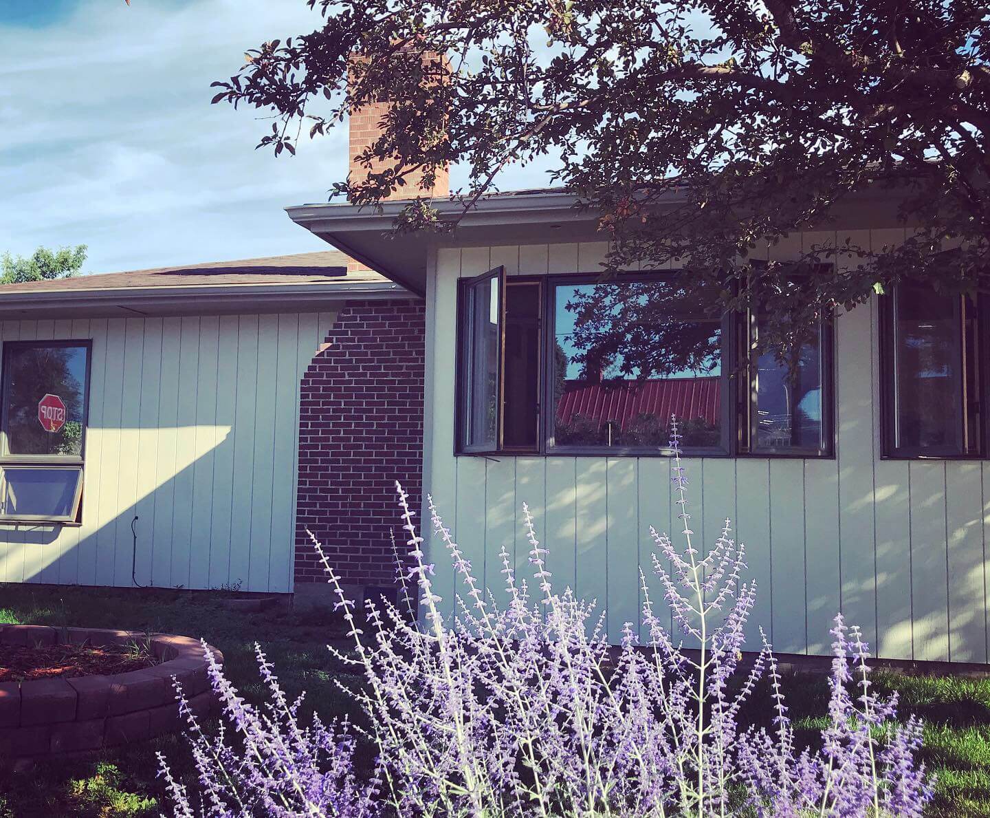 Buena Vista, Colorado Rental Home