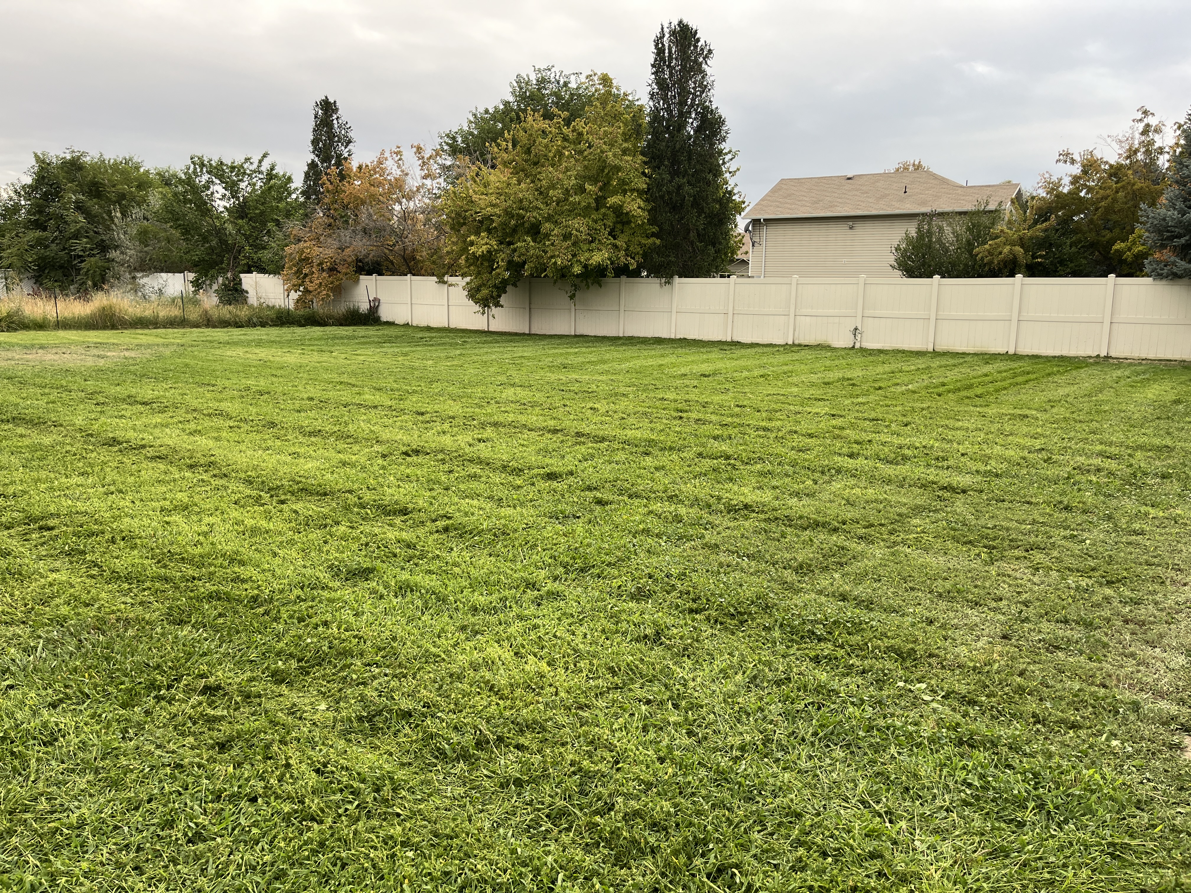 Lawn care project