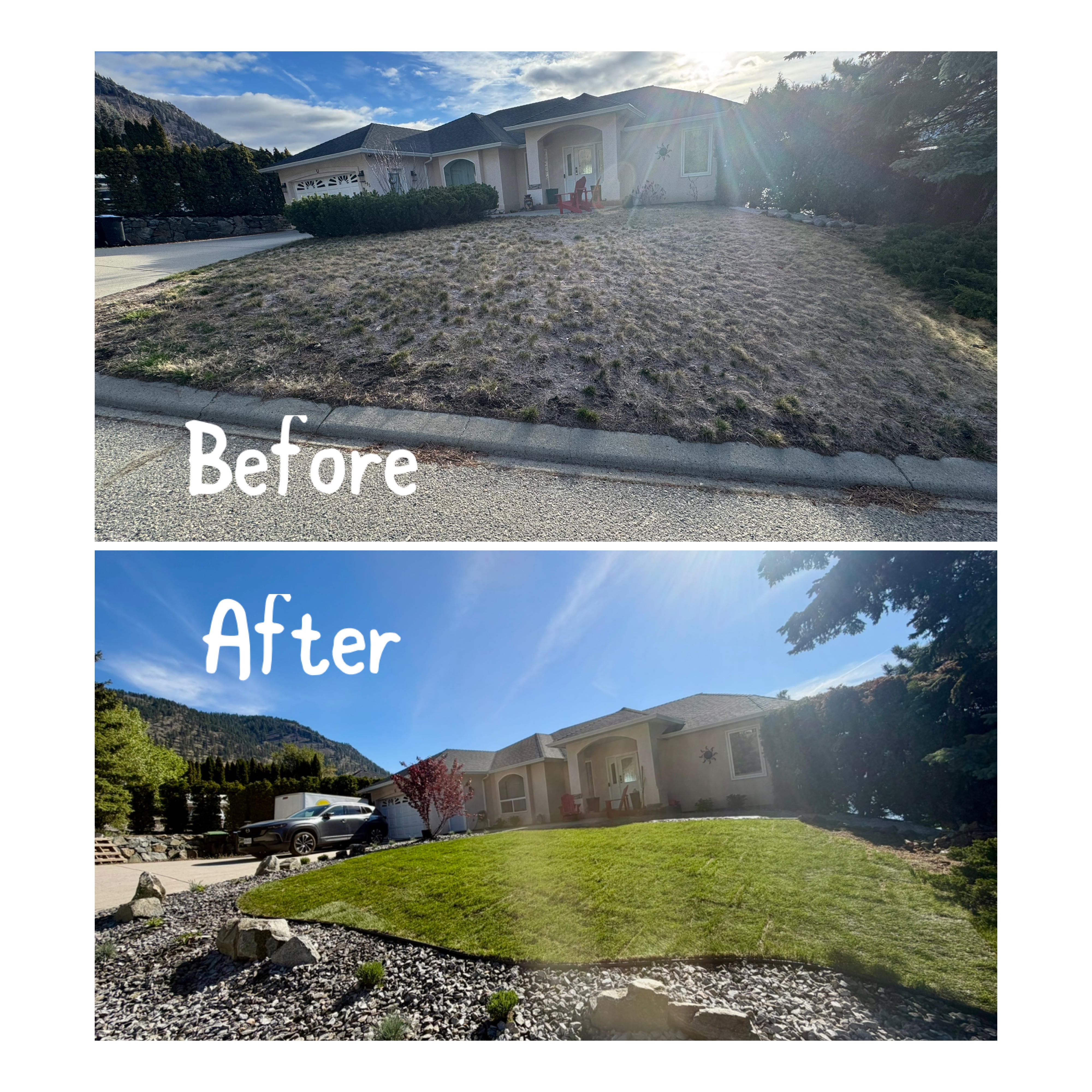 Lawn care project