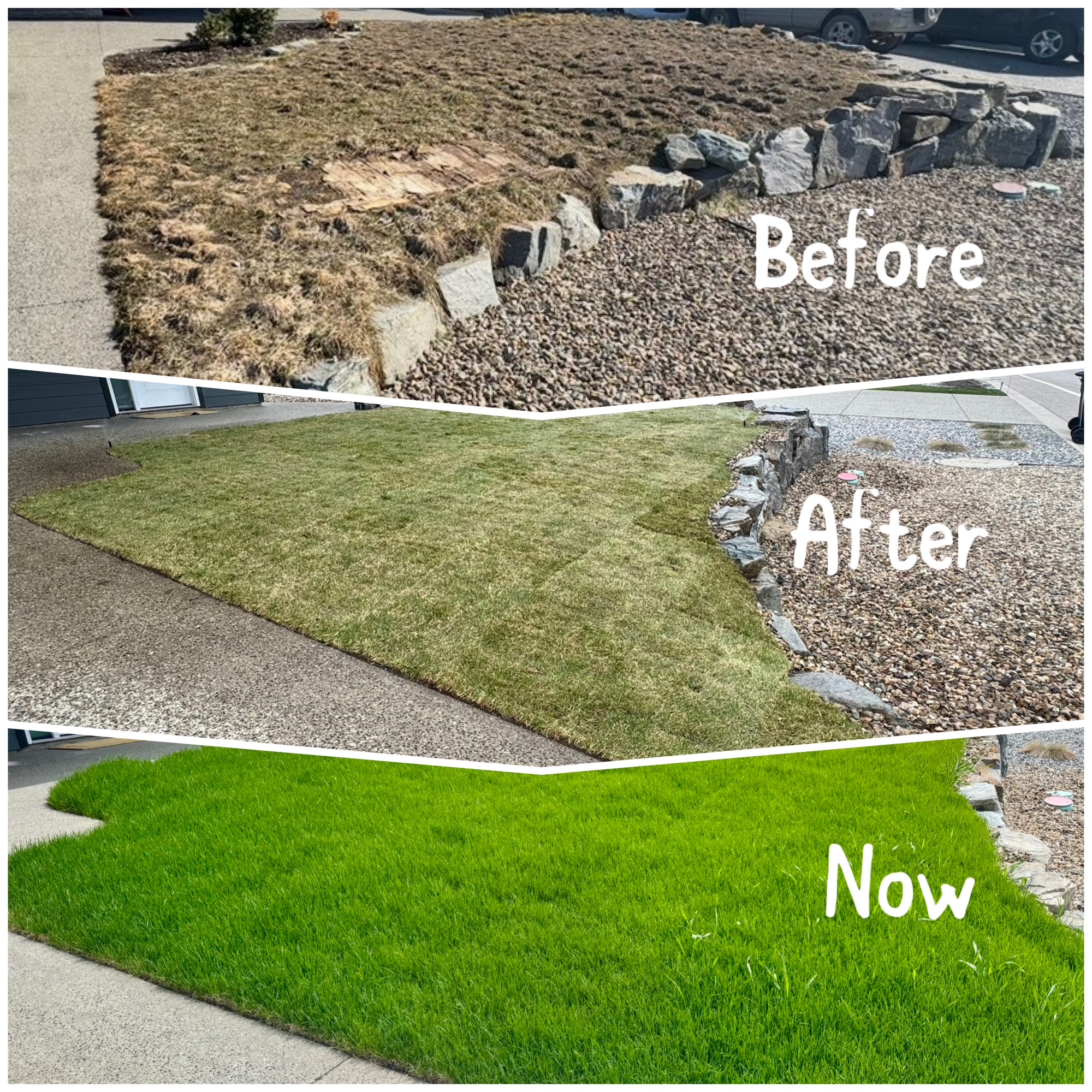 Lawn care project