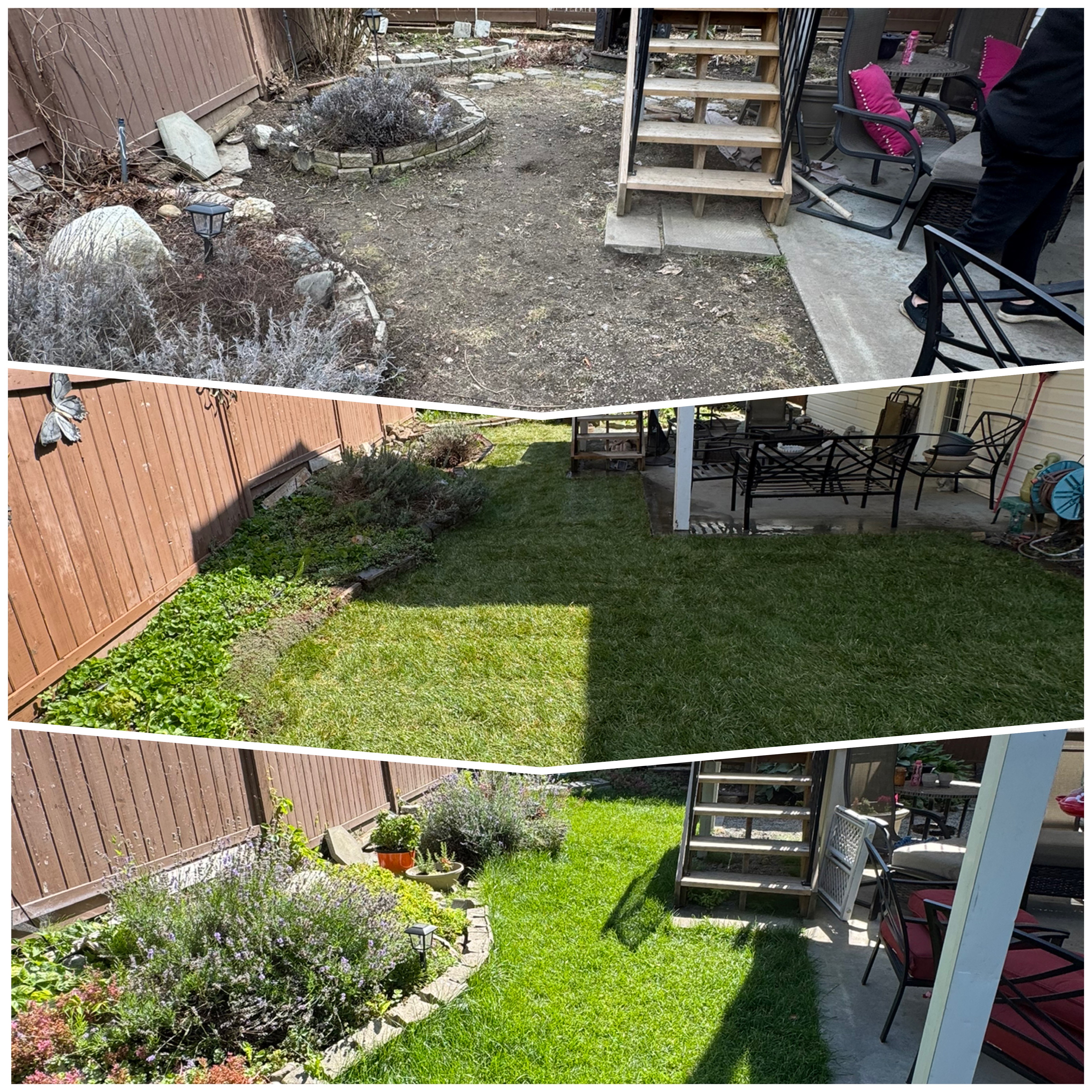 Lawn care project