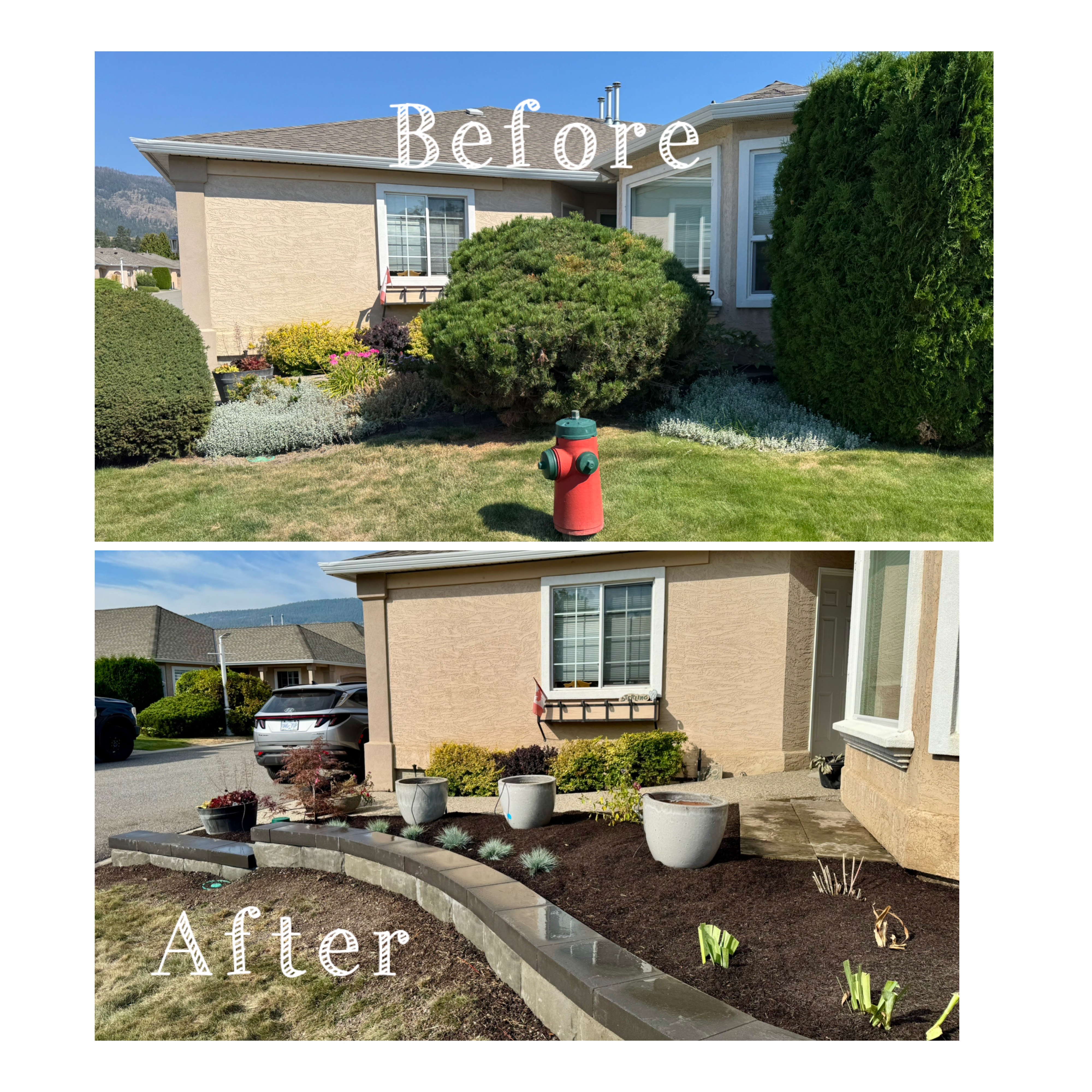 Lawn care project