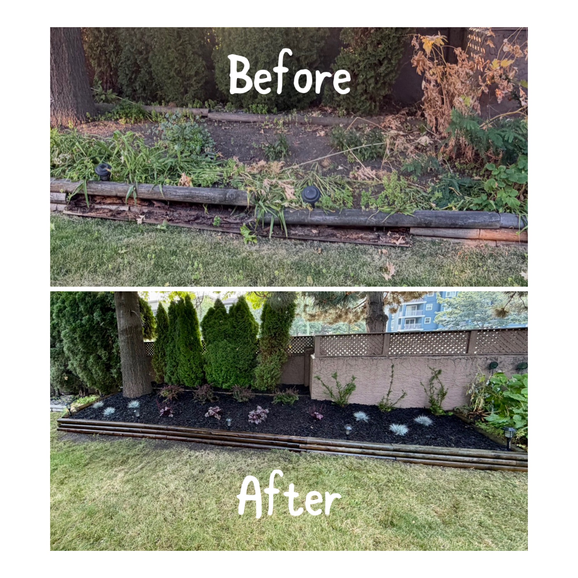 Lawn care project