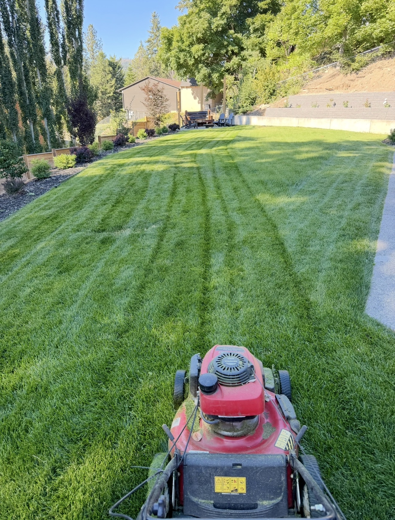 Lawn Mowing and Line Trimming