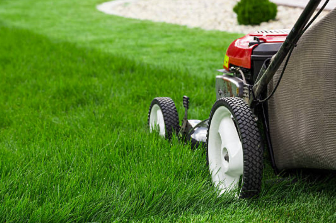 Lawn Mowing and Line Trimming