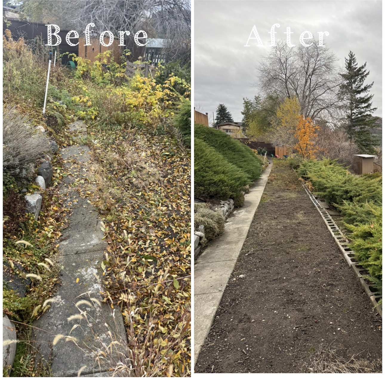 Spring and Fall Yard Cleanups