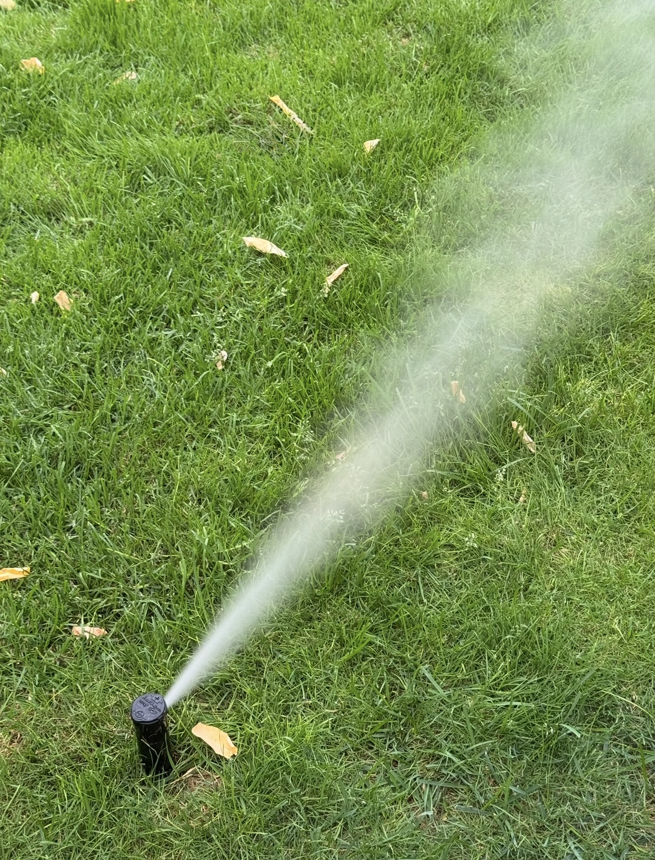 Irrigation Services