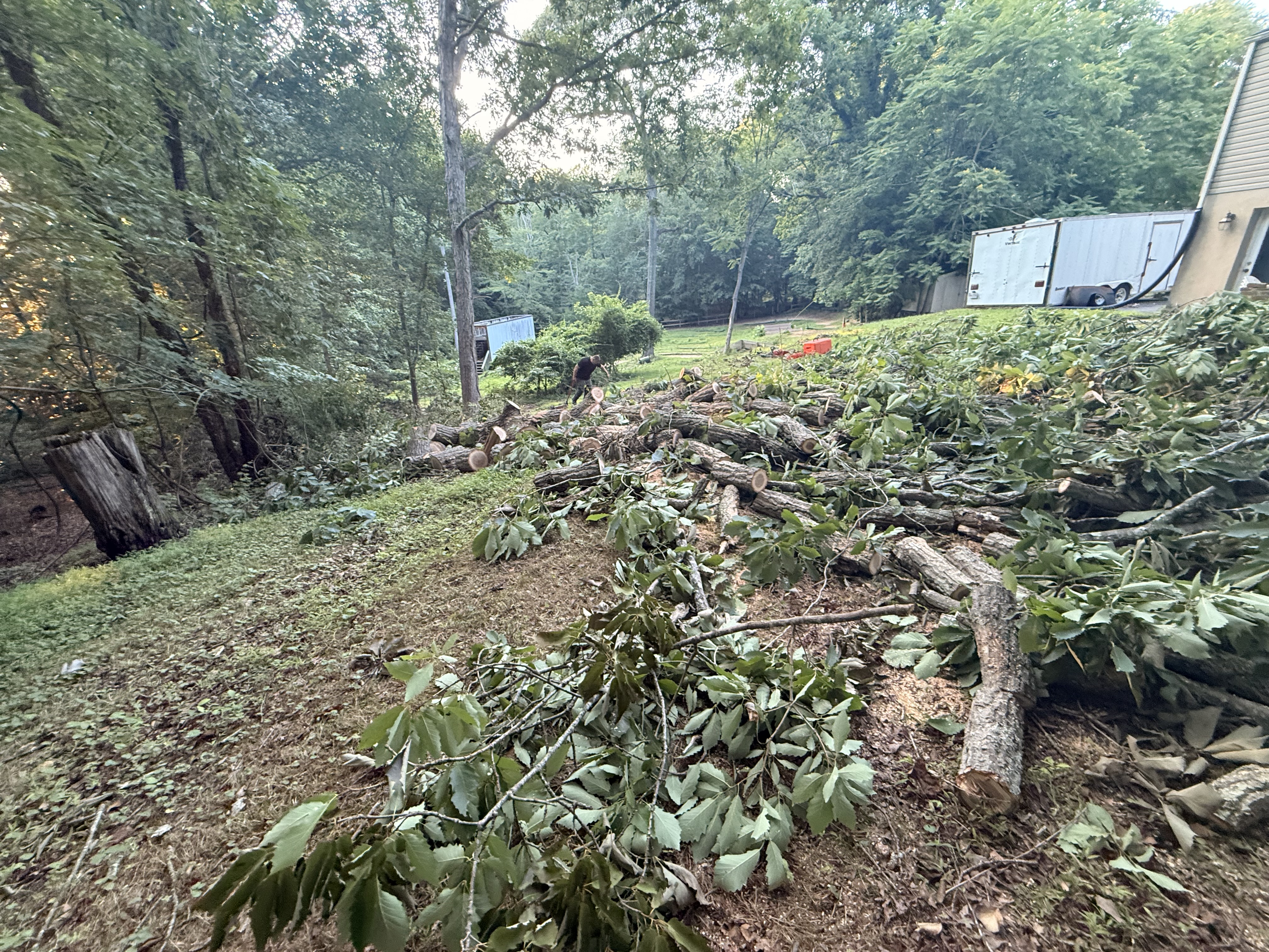 Lawn care project