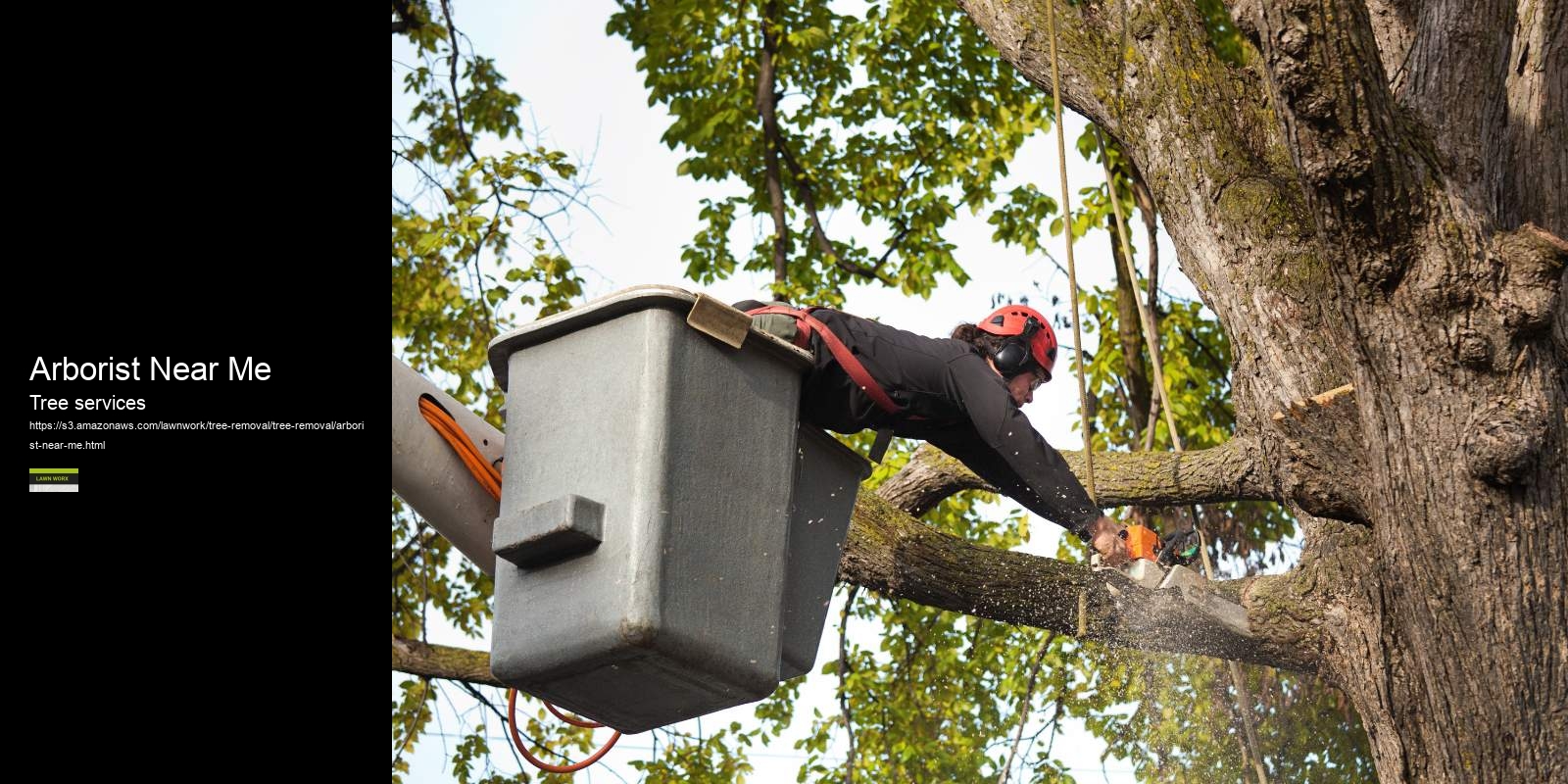 Arborist Near Me
