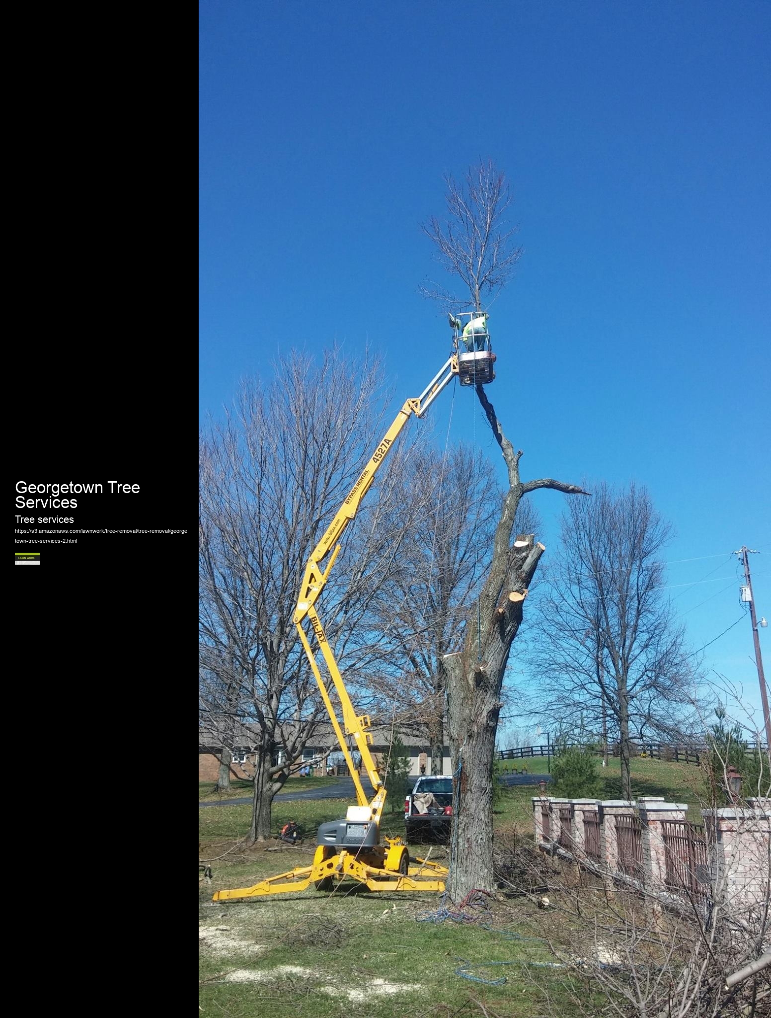 Georgetown Tree Services