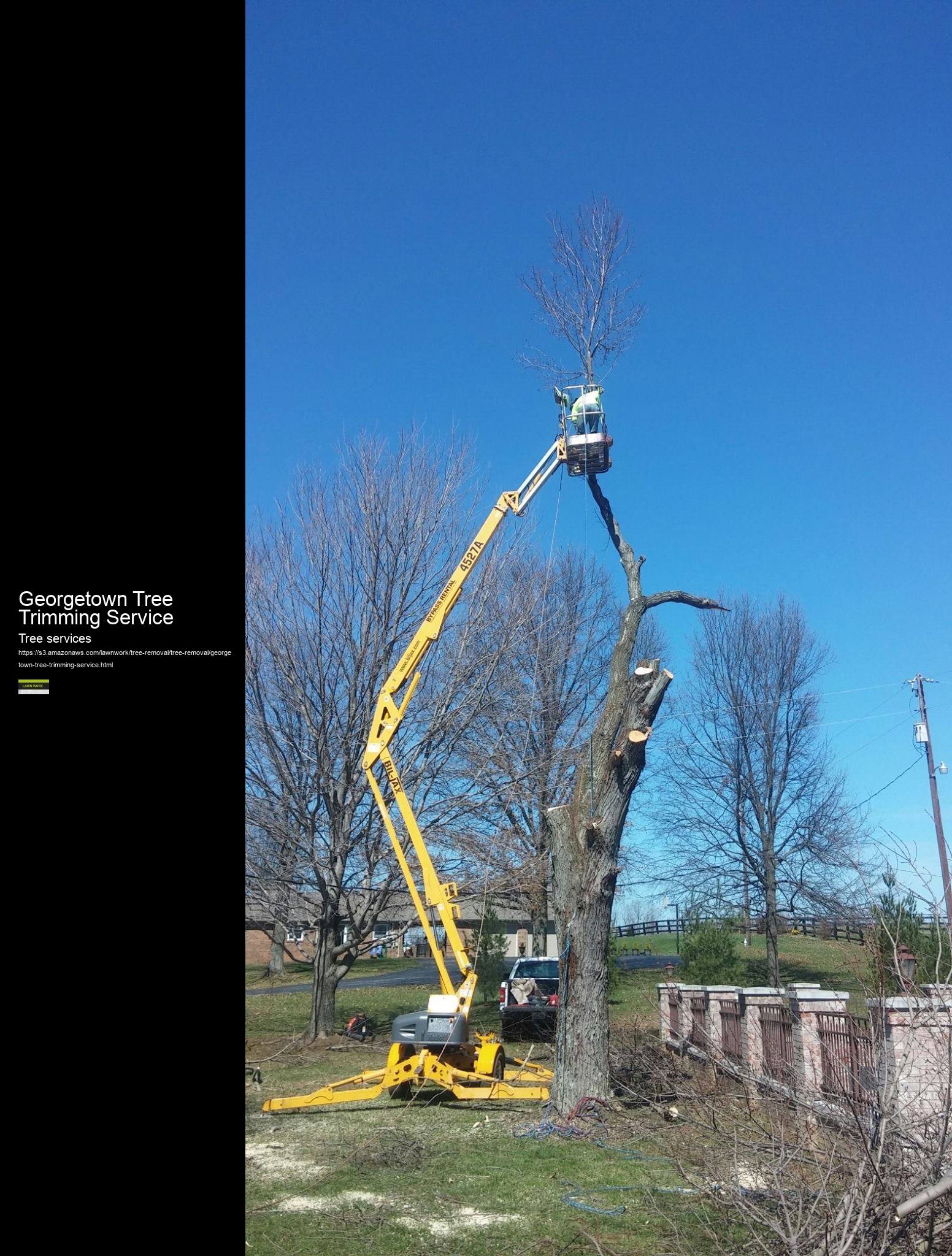 Georgetown Tree Trimming Service
