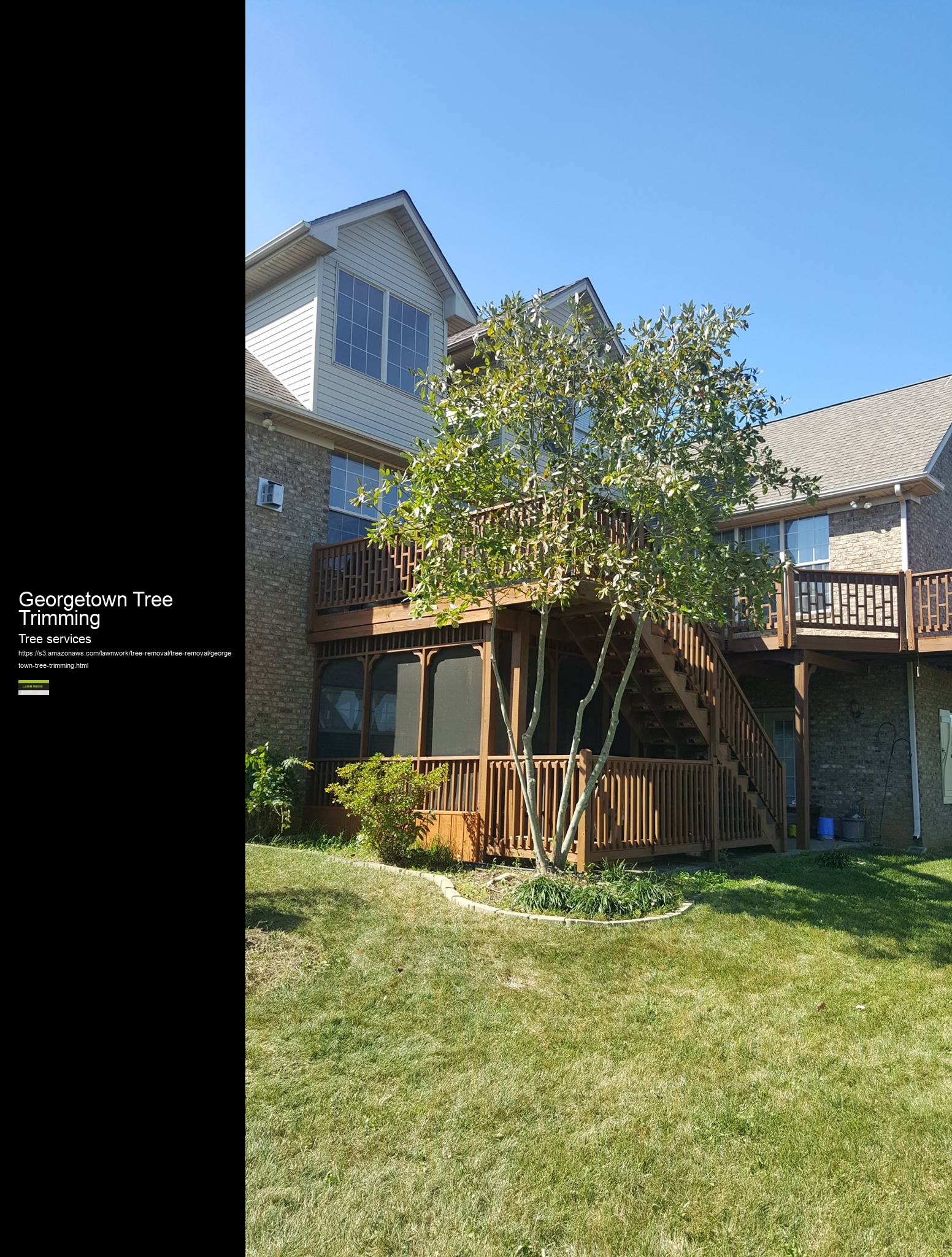 Georgetown Tree Trimming