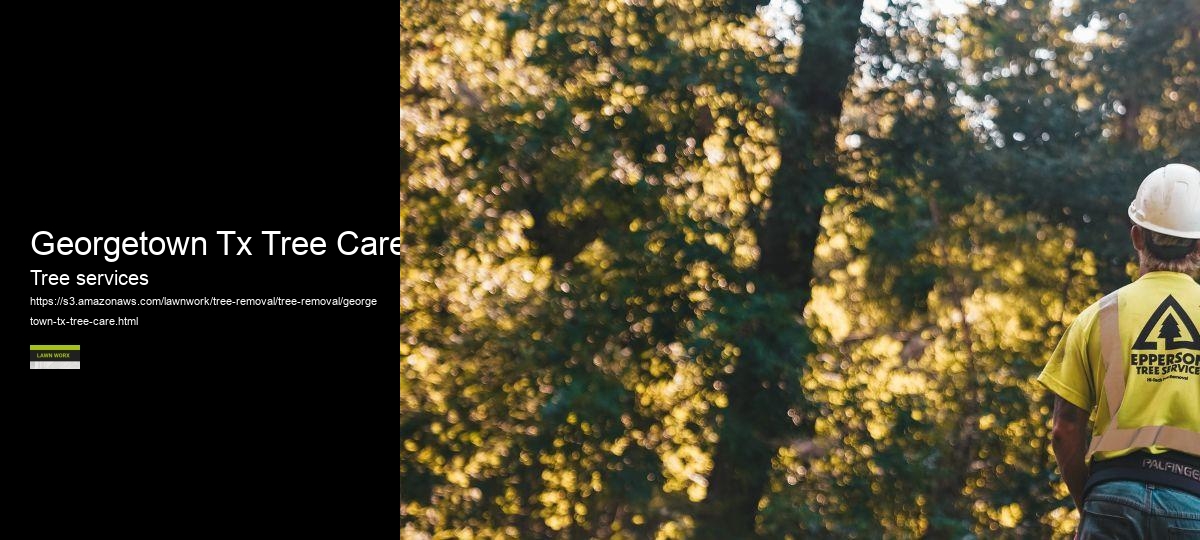 Georgetown Tx Tree Care
