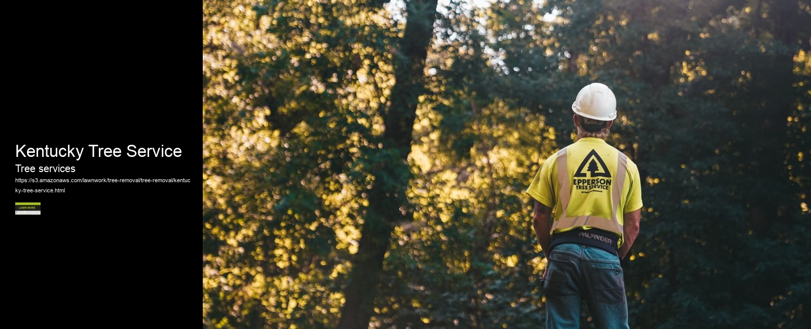 Kentucky Tree Service