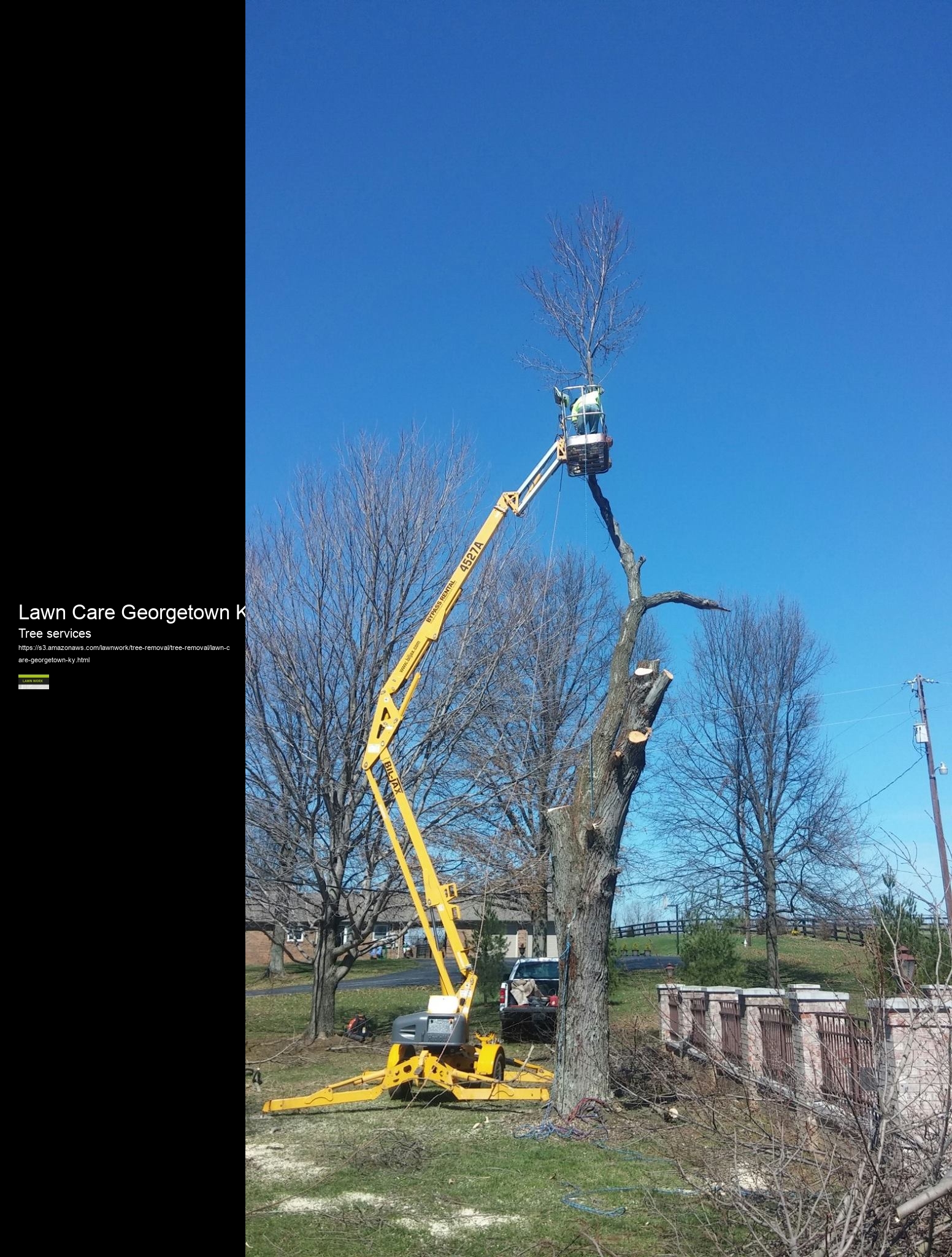 Lawn Care Georgetown Ky