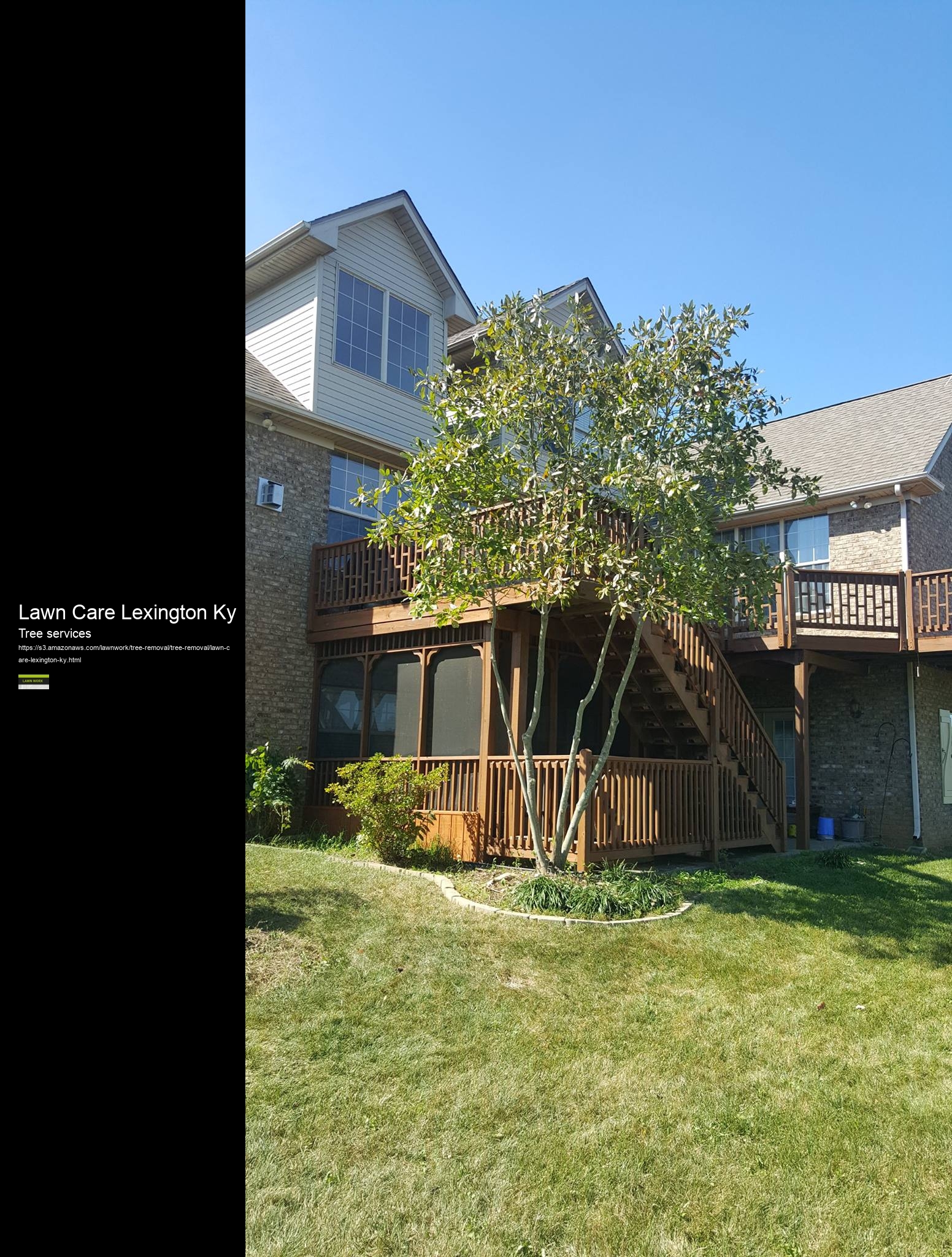 Lawn Care Lexington Ky