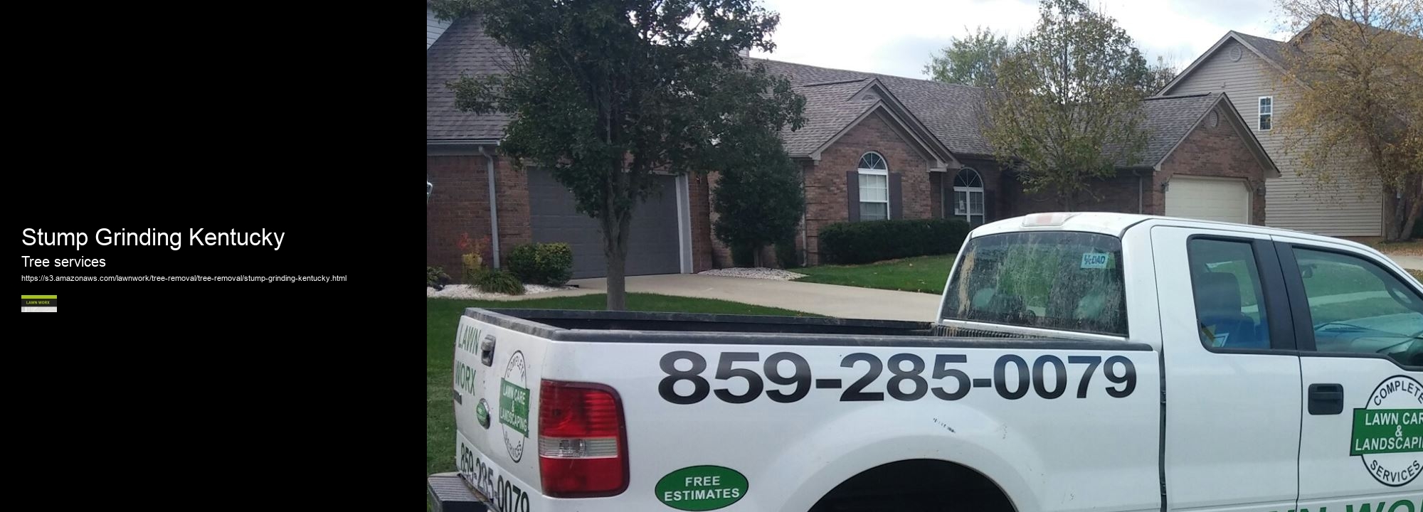 Stump Grinding Kentucky