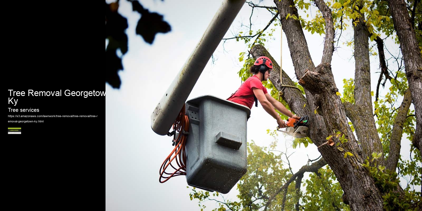 Tree Removal Georgetown Ky