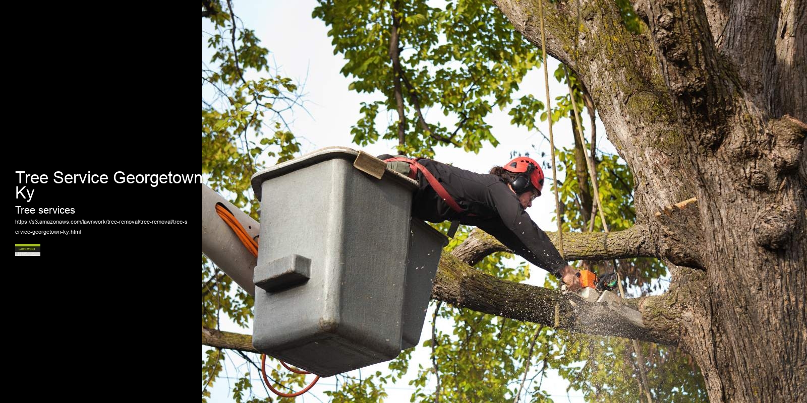 Tree Service Georgetown Ky