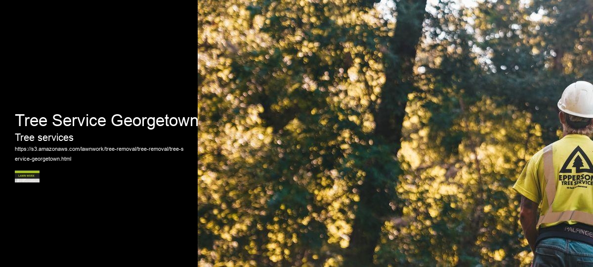 Tree Service Georgetown