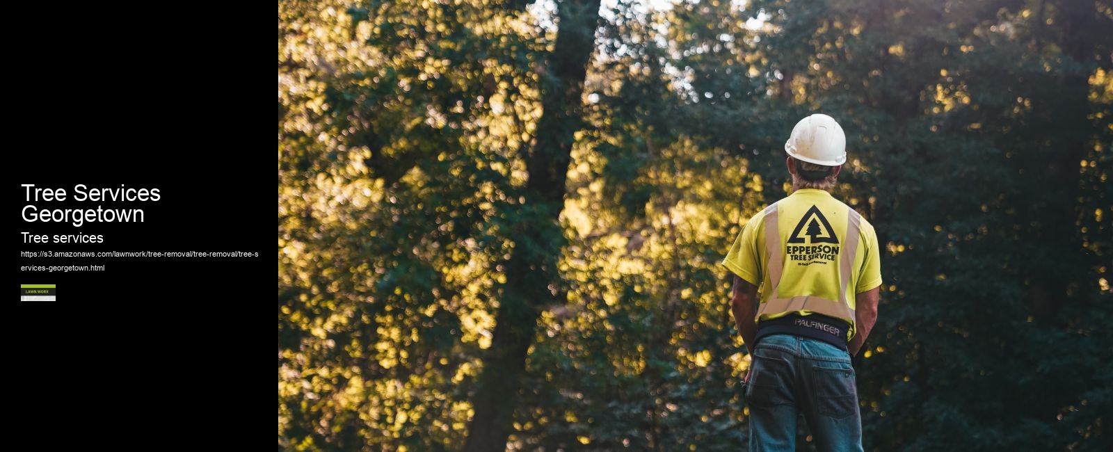 Tree Services Georgetown