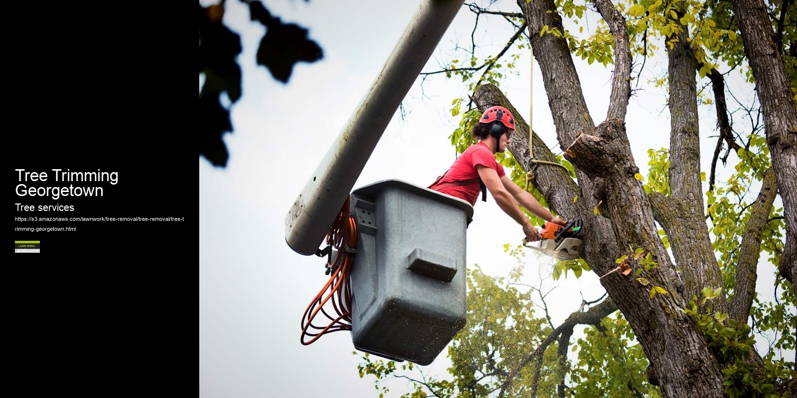 Tree Trimming Georgetown