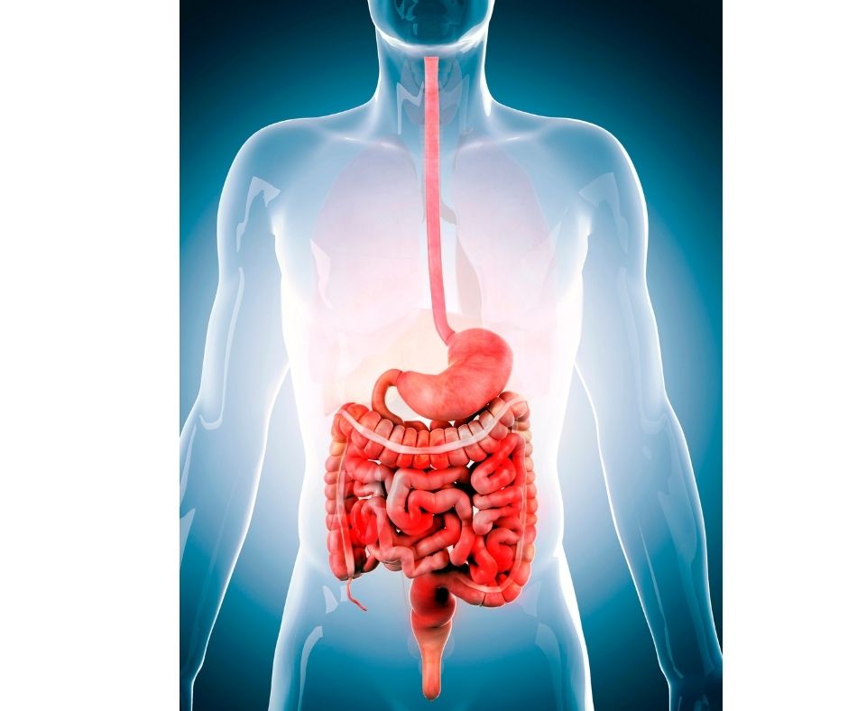 life insurance with living benefits for ca